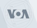 Klein video report