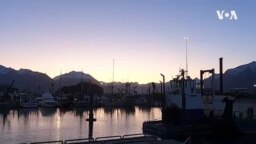 Nature | Valdez Harbor 