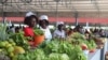 FAO apoia projectos no sul de Angola