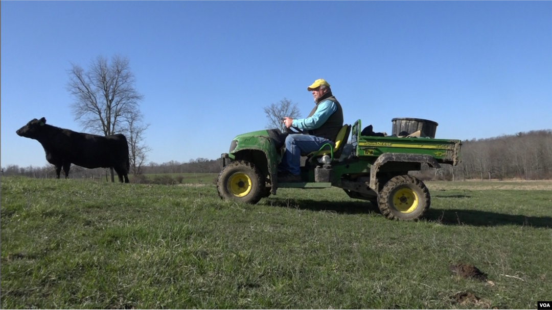 Phil Trowbridge is a seedstock producer in Ghent, New York. His politics, he says, are “pro-choice and anti-union.” (R. Taylor/VOA)